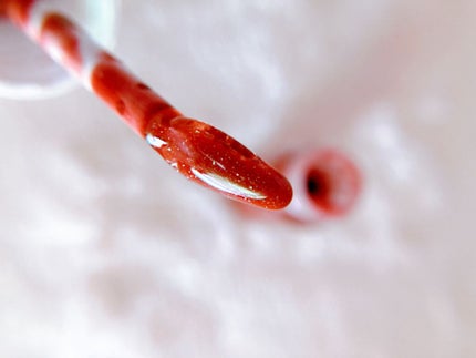 ミネラルカラーセラム/ONLY MINERALS/リップグロスを使ったクチコミ(3枚目)