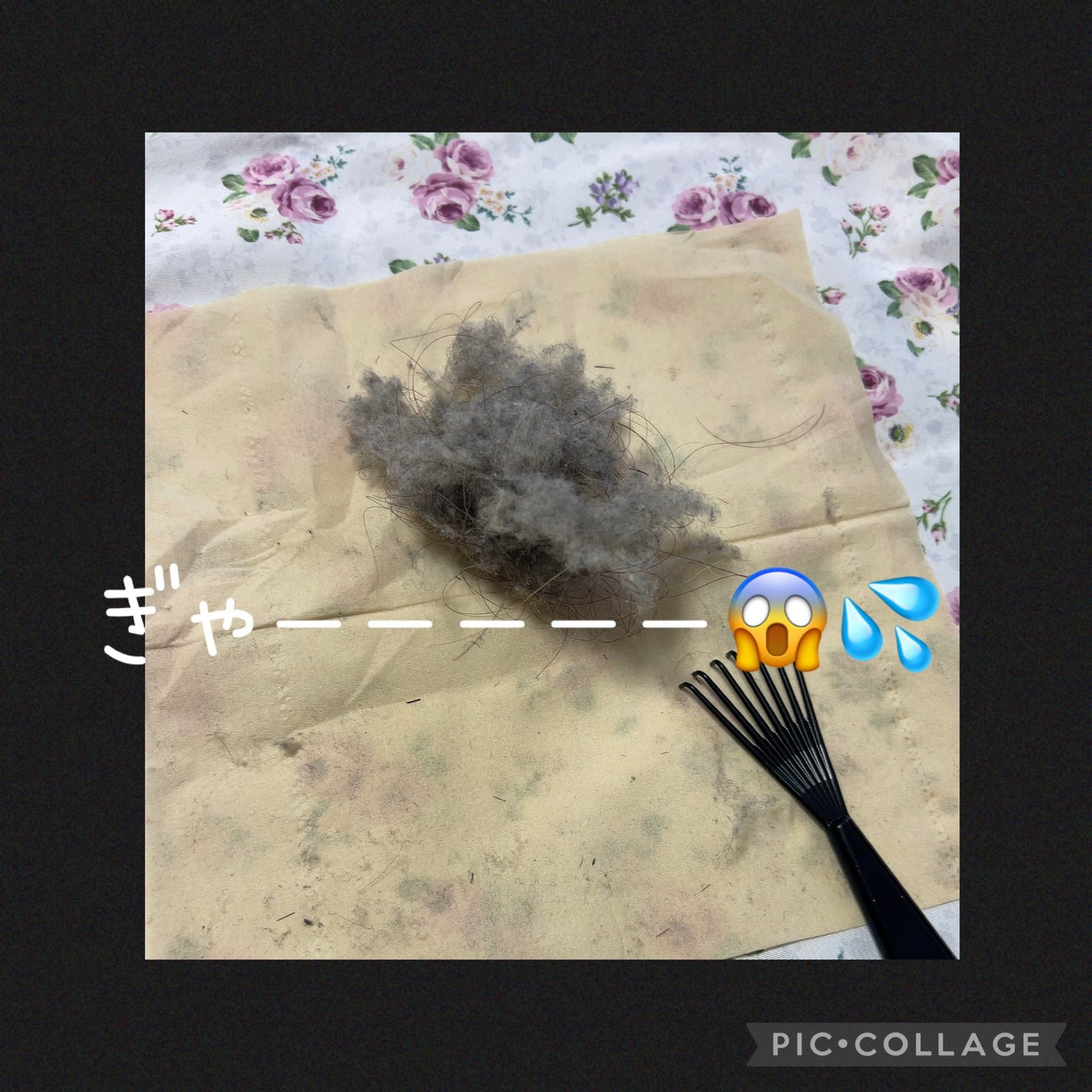 つやつや天然毛のミックスブラシ/マペペ/ヘアブラシを使ったクチコミ(4枚目)