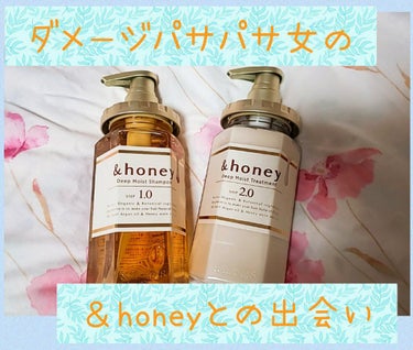 ディープモイスト シャンプー1.0／ヘアトリートメント2.0/&honey/シャンプー・コンディショナーを使ったクチコミ（1枚目）