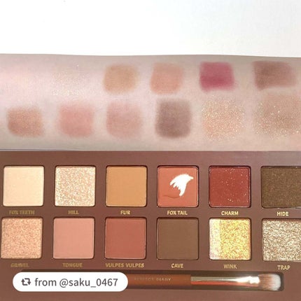 エクスプローラ12色 動物アイシャドウパレット/PERFECT DIARY/アイシャドウパレットを使ったクチコミ(3枚目)