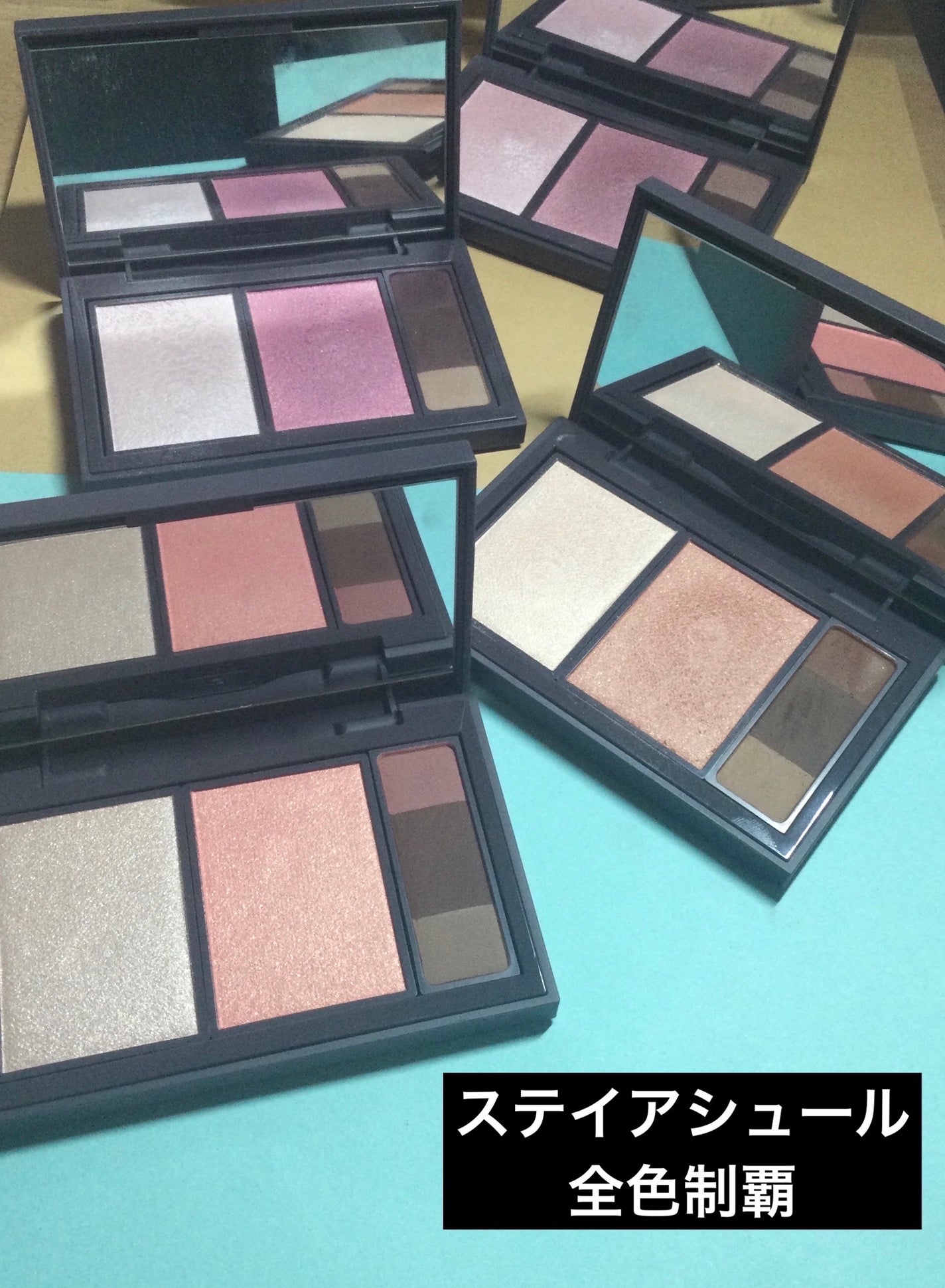 フィット my カラーパレット/STEIASUR(ステイアシュール)/マルチパレットを使ったクチコミ(1枚目)