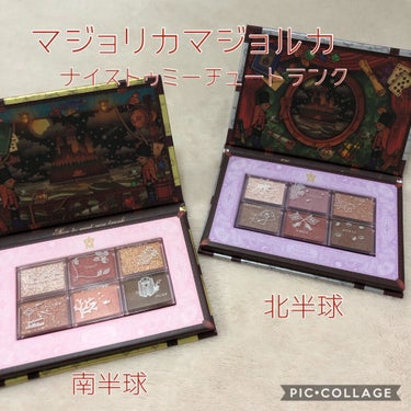 ナイストゥミーチュートランク/MAJOLICA MAJORCA/パウダーアイシャドウを使ったクチコミ（1枚目）