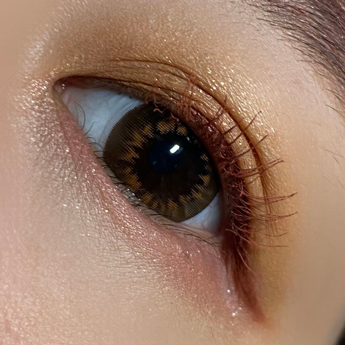 セルヴォーク ヴァティック アイパレット/Celvoke/アイシャドウパレットを使ったクチコミ(2枚目)