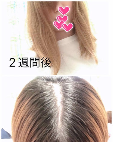 ヘアアクセルレーター レモンライムの香り｜加美乃素本舗の口コミ ...