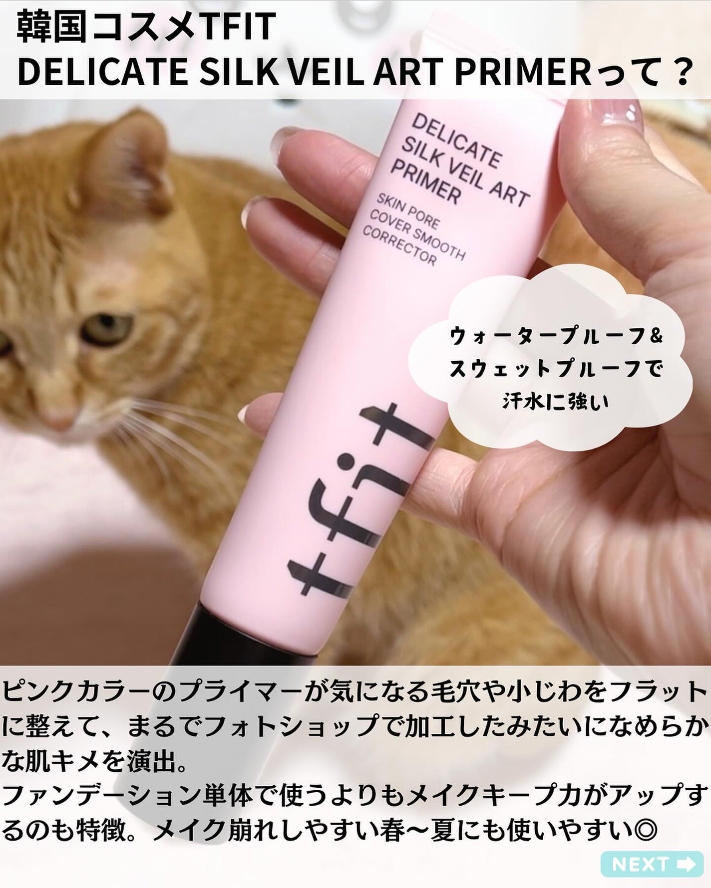 デリケートシルクベールアートプライマー/TFIT/化粧下地を使ったクチコミ(2枚目)