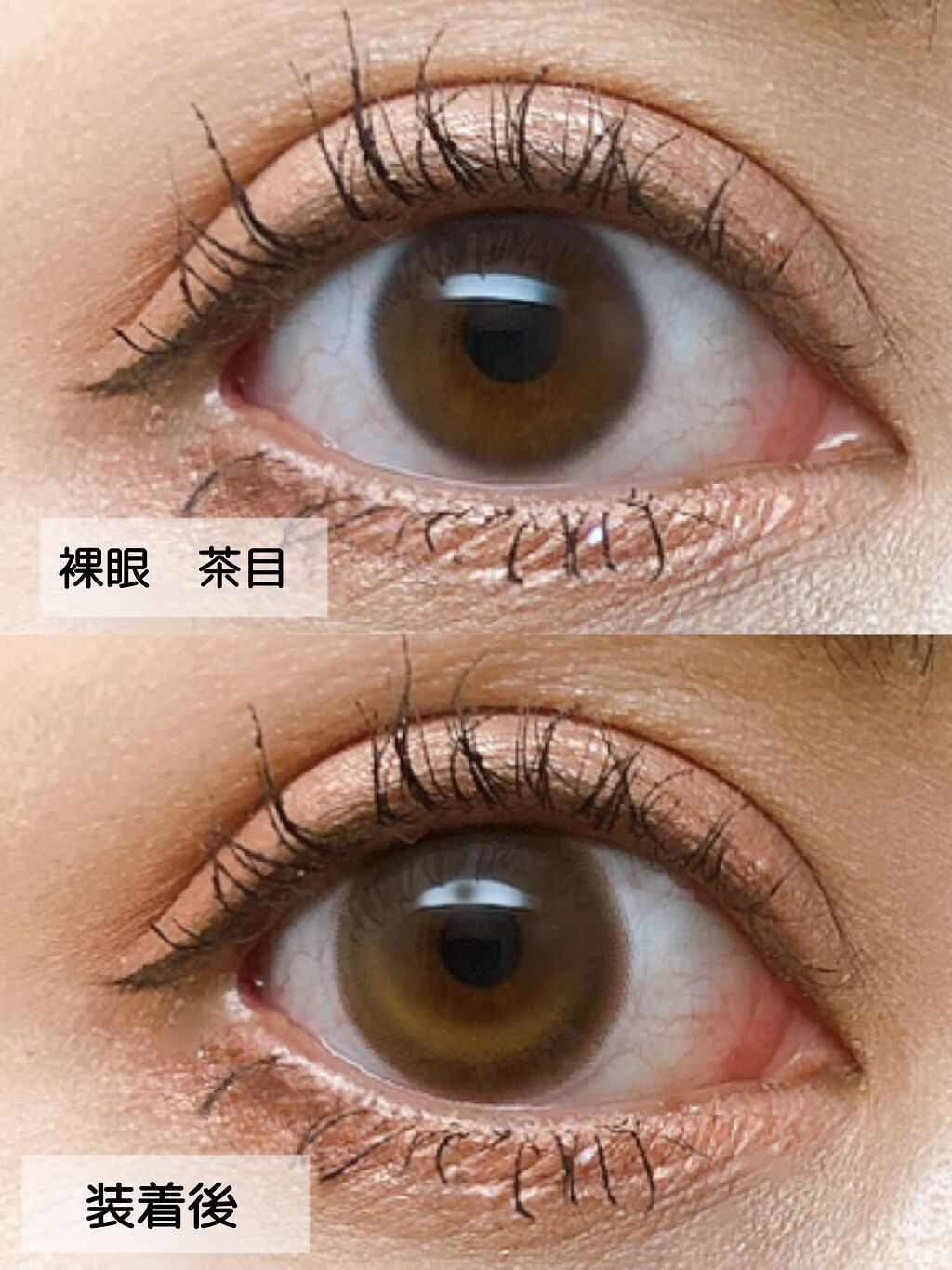 Primo Clair Monthly/Primo Clair Monthly/カラーコンタクトレンズを使ったクチコミ（2枚目）