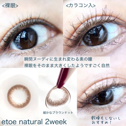 2week Etoē/Etoe By Twinkle Eyes/2週間(2WEEKS)カラコンを使ったクチコミ(2枚目)