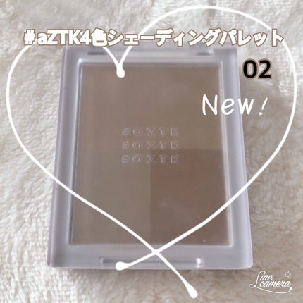 4色シェーディングパレット/aZTK/シェーディングを使ったクチコミ(1枚目)