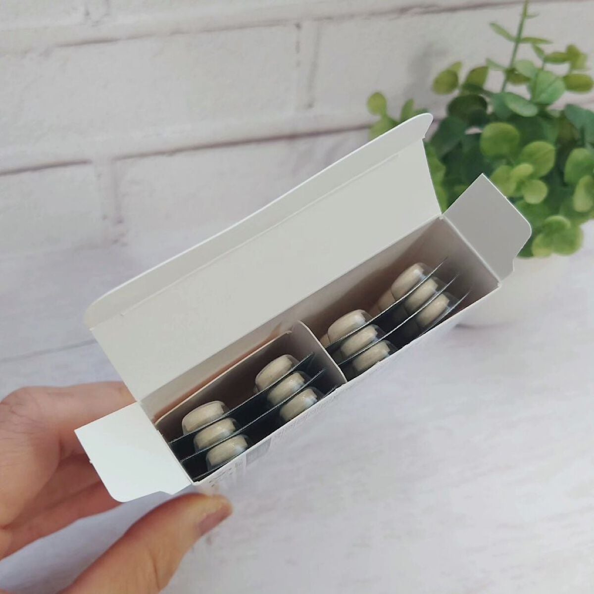 SAKIMORI/AFC/美容サプリメントを使ったクチコミ(2枚目)