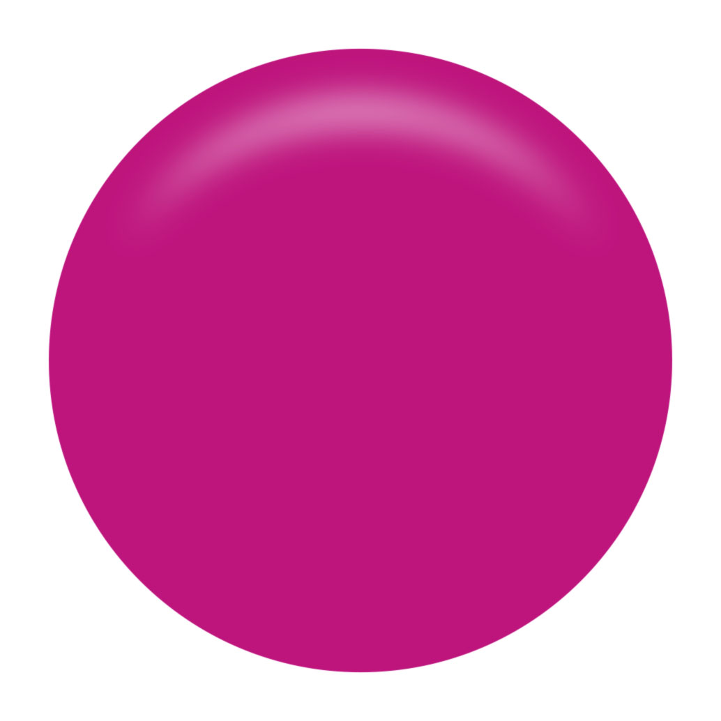 RS500  フューシャ