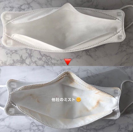 リアルメイク崩れ防止スプレー /saat insight/フィックスミストを使ったクチコミ(6枚目)