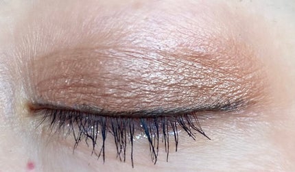 オンブル プルミエール リーブル/CHANEL/単色アイシャドウを使ったクチコミ(8枚目)