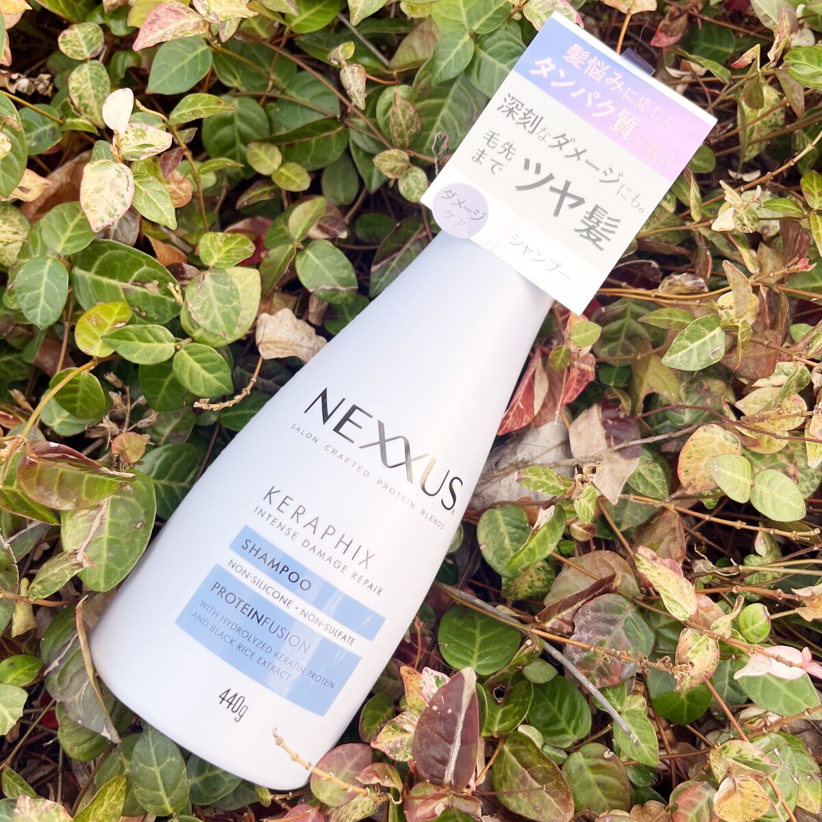 ネクサス インテンスダメージリペア シャンプー/トリートメント/NEXXUS(ネクサス)/市販シャンプーを使ったクチコミ(2枚目)