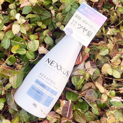 ネクサス インテンスダメージリペア シャンプー/トリートメント シャンプー本体 440g/NEXXUS(ネクサス)/市販シャンプーを使ったクチコミ(2枚目)