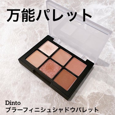 ブラーフィニシュシャドウパレット/Dinto/アイシャドウパレットを使ったクチコミ（1枚目）