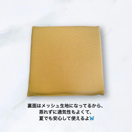 ホルミシス座布団/ASHITAMO/その他を使ったクチコミ(2枚目)