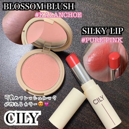 シルキーリップ/CILY/口紅を使ったクチコミ(3枚目)