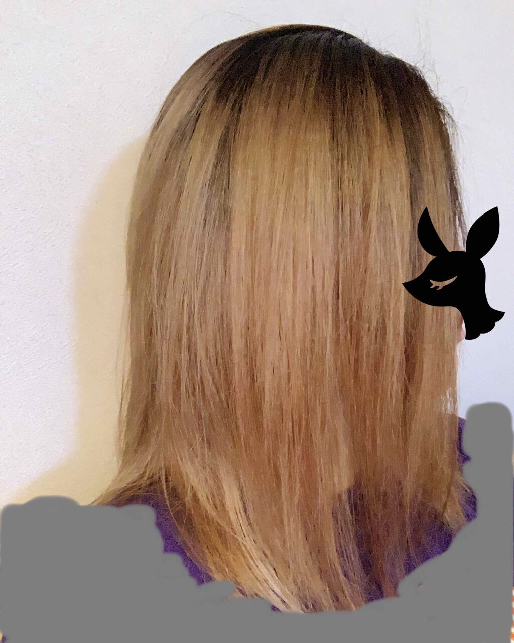 エンシェールズカラーバター/エンシェールズ/ヘアカラーを使ったクチコミ(1枚目)