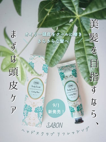 \ 9/1 新発売！/⠀
SABON 
ヘッドスクラブ リフレッシング✨

SABONで大人気のヘッドスクラブがリニューアル！

リフレッシングは死海の塩とオーガニックミント配合で、頭皮の余分な角質や汚