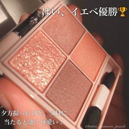 シルキースフレアイズ(マットタイプ)/キャンメイク/アイシャドウパレットを使ったクチコミ(3枚目)