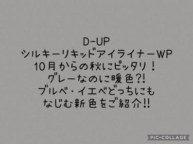 こんにちは😊ふわもも🍑💞です！
今回はLIPSプレゼント企画でD-UPさんから
シルキーリキッドアイライナーの新色を
頂いたのでご紹介します！

🍑💞
D-UP
シルキーリキッドアイライナーWP グレー