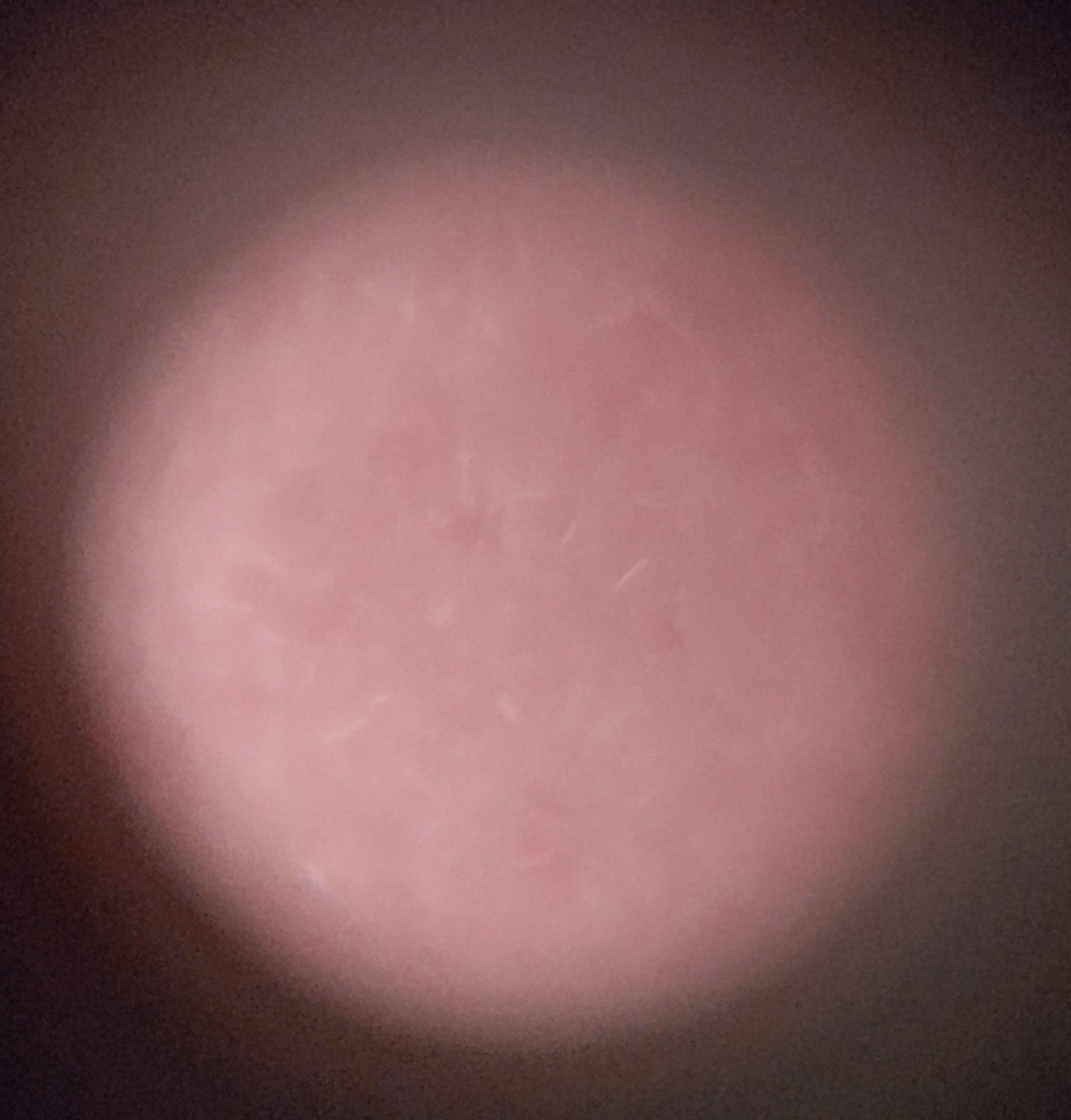 シカコラーゲンオールインワン３ステップマスク/VT/シートマスク・パックを使ったクチコミ（3枚目）