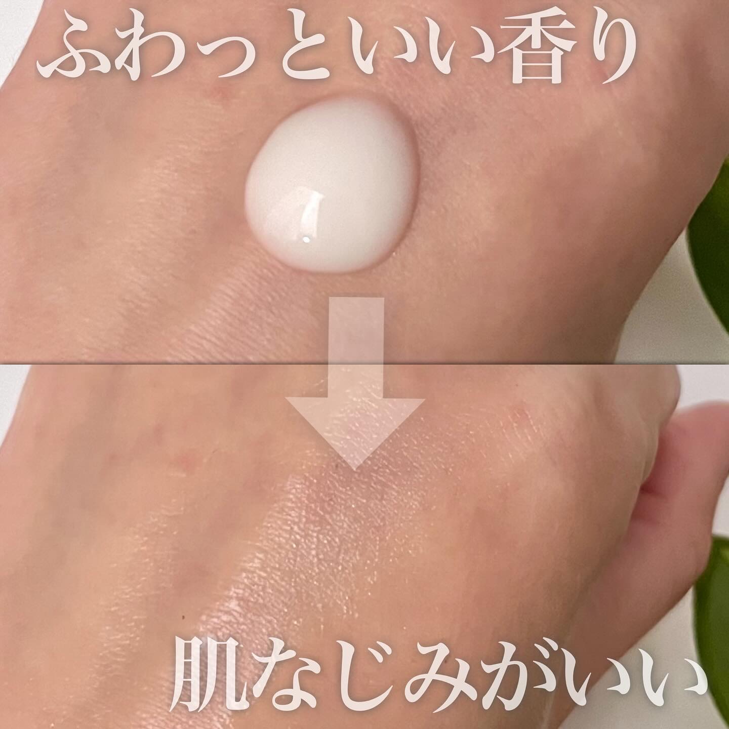 エッセンスミルク/ボタニズム /乳液を使ったクチコミ（3枚目）