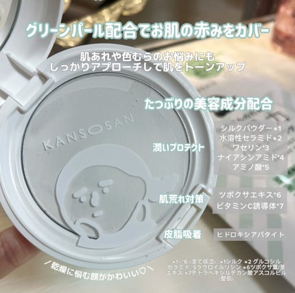 乾燥さん 保湿力プロテクトパウダー/乾燥さん/プレストパウダーを使ったクチコミ(3枚目)