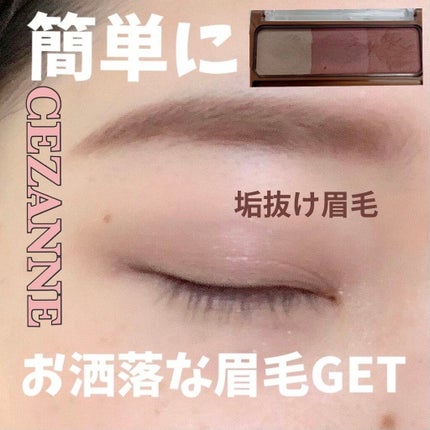 ノーズ&アイブロウパウダー/CEZANNE/パウダーアイブロウを使ったクチコミ(1枚目)