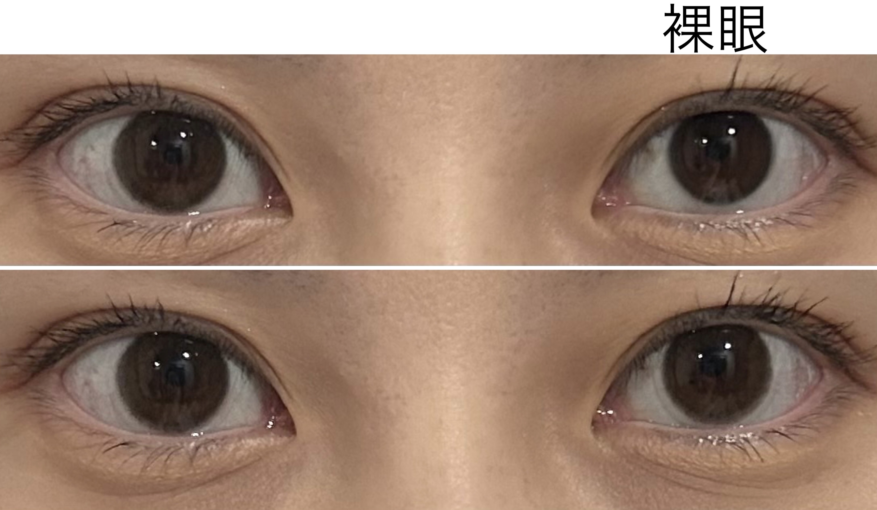 miium 1day/miium/ワンデー（１DAY）カラコンを使ったクチコミ（3枚目）