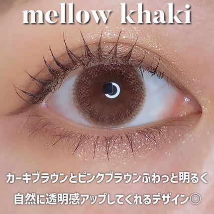 LuMia comfort 1day CIRCLE/LuMia/ワンデー(1DAY)カラコンを使ったクチコミ(4枚目)