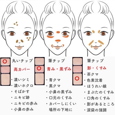 ミネラルコンシーラーパレット/エトヴォス/コンシーラーを使ったクチコミ（2枚目）