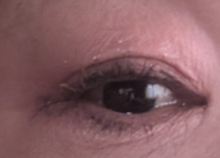 ムードオンアイシャドウ/Lilytone/アイシャドウパレットを使ったクチコミ（2枚目）