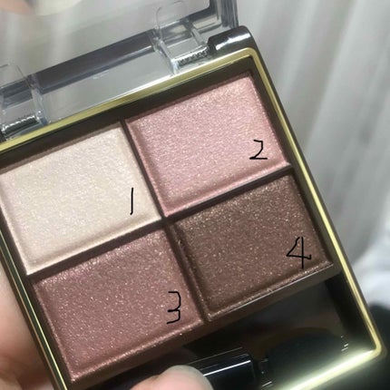 スキニーリッチシャドウ/excel/アイシャドウパレットを使ったクチコミ(2枚目)