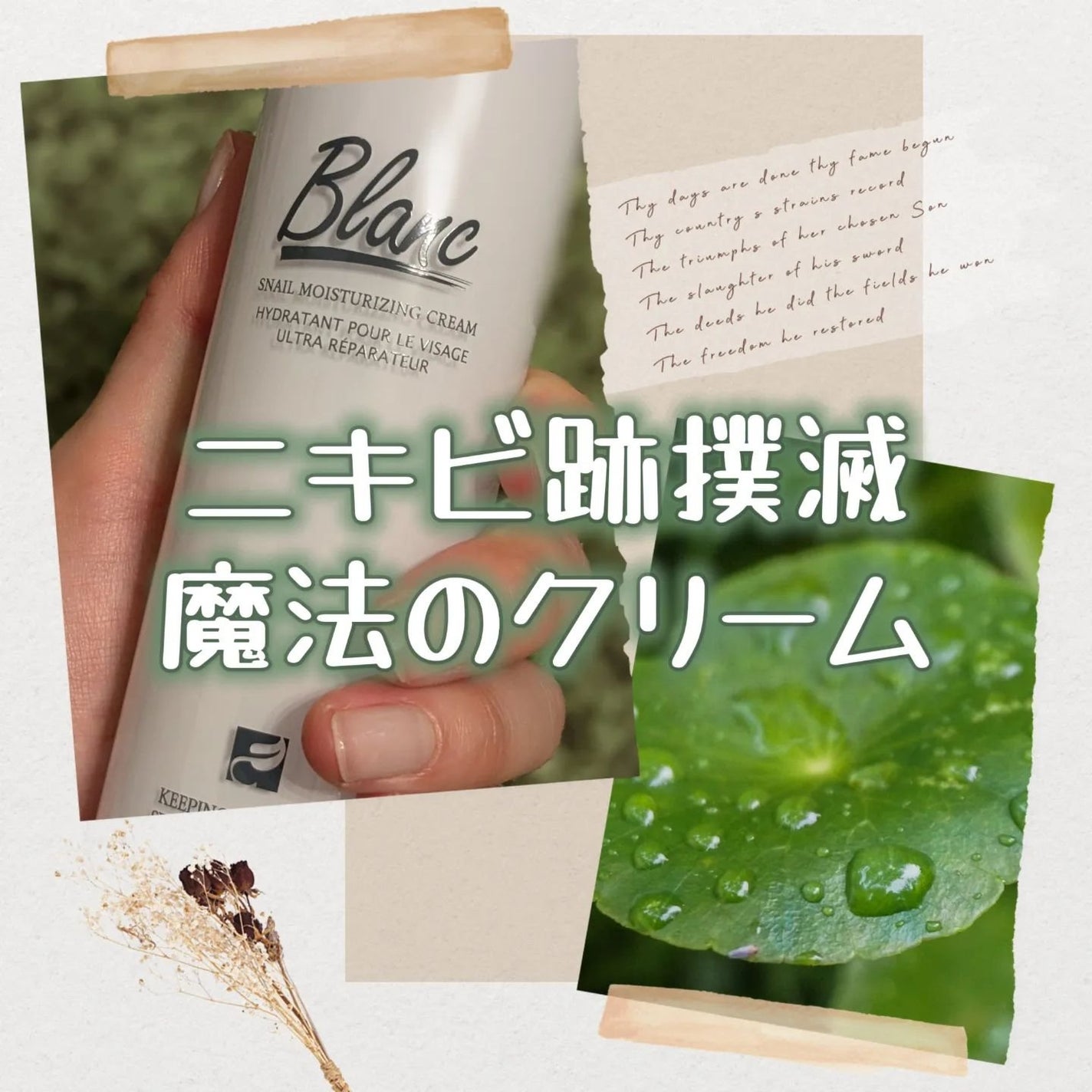 マジックシカクリーム/ブラン/フェイスクリームを使ったクチコミ(1枚目)