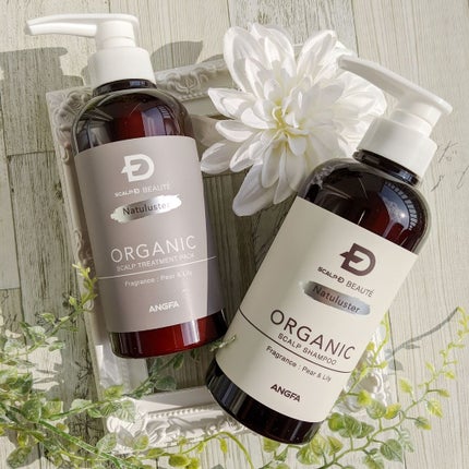 スカルプD ボーテ ナチュラスター スカルプシャンプー/トリートメントパック/アンファー(スカルプD)/シャンプー・コンディショナーを使ったクチコミ(1枚目)