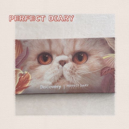 エクスプローラ12色 動物アイシャドウパレット/PERFECT DIARY/アイシャドウパレットを使ったクチコミ(1枚目)
