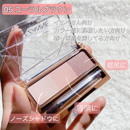 ノーズ&アイブロウパウダー/CEZANNE/パウダーアイブロウを使ったクチコミ(2枚目)