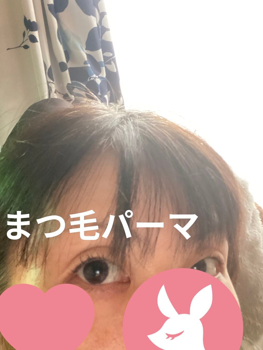 まつげ美容液EX/CEZANNE/まつげ美容液を使ったクチコミ(1枚目)