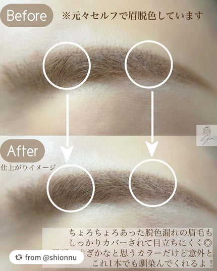 エテュセ アイエディション(ブロウコンシーラー)/ettusais/その他アイブロウを使ったクチコミ(3枚目)