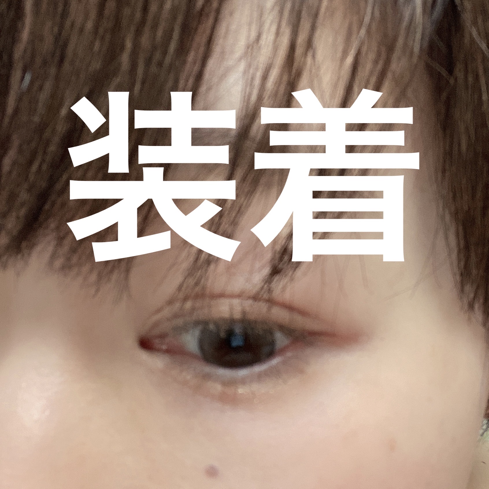 HARNE 1day フィナンシェ/HARNE/ワンデー（１DAY）カラコンを使ったクチコミ（2枚目）