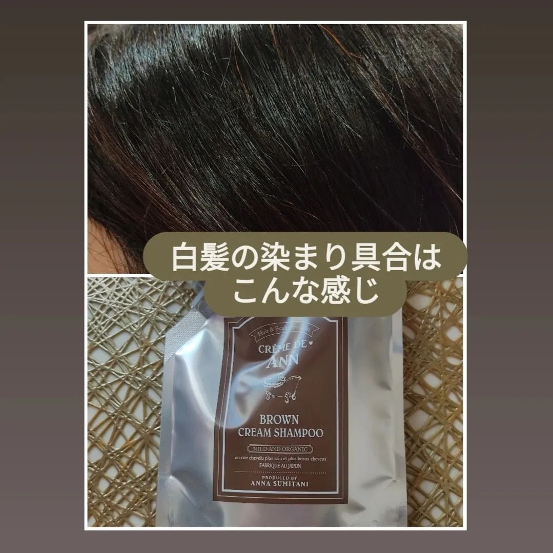 クレムドアン ブラウンクリームシャンプー/creme de Ann/市販シャンプーを使ったクチコミ(4枚目)