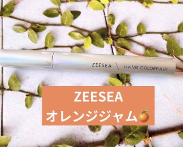 ダイヤモンドシリーズ カラーマスカラ/ZEESEA/マスカラを使ったクチコミ（1枚目）