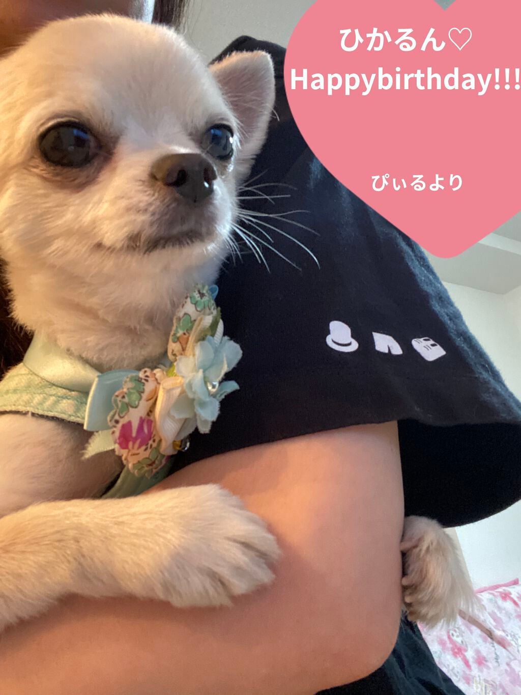 グリッタージェルベリオネア/ColourPop/グリッターを使ったクチコミ(6枚目)