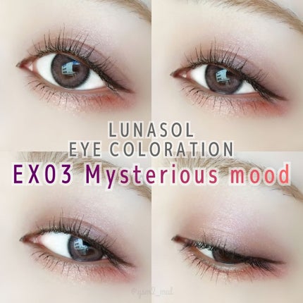 ホリデーフェイバリット2019/LUNASOL/メイクアップキットを使ったクチコミ(1枚目)