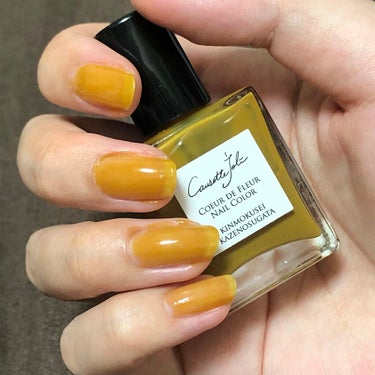 Coeur de Fleur Nail Color/Causette.Joli/マニキュアを使ったクチコミ（3枚目）