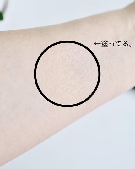 シルキーウェットパウダー/セフィーヌ/パウダーファンデーションを使ったクチコミ(7枚目)