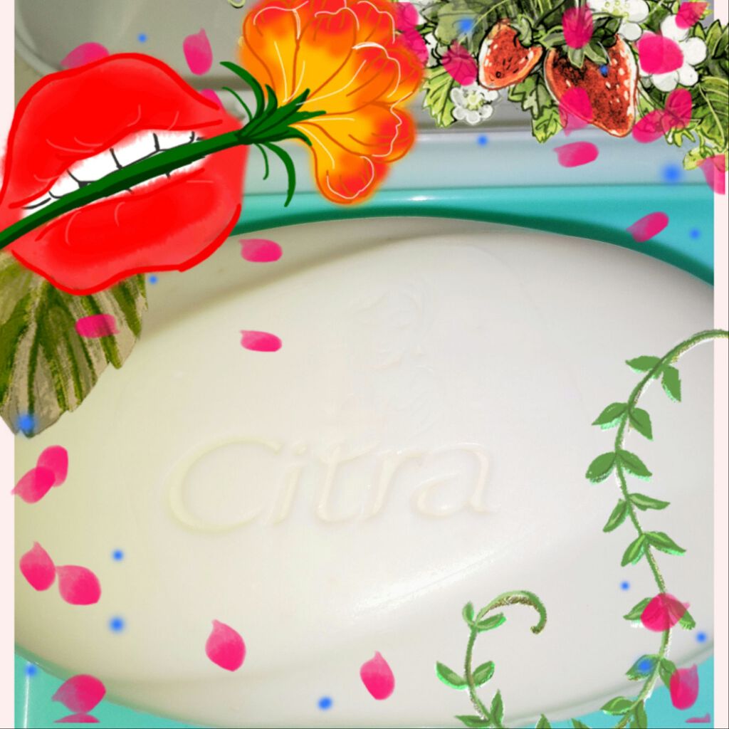 ナチュラルソープ ブンコアン/Citra(チトラ)/ボディ石鹸を使ったクチコミ(2枚目)