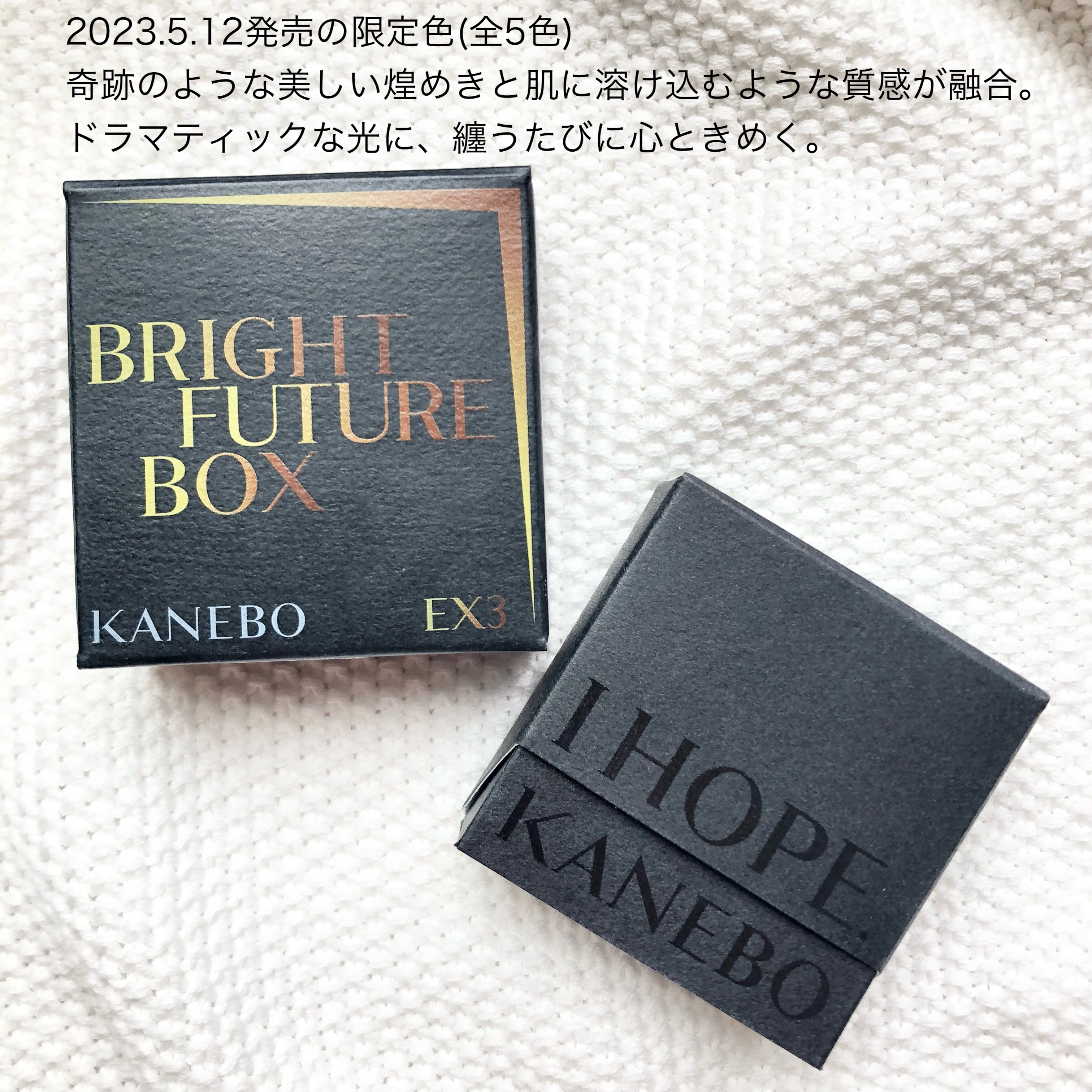ブライトフューチャーボックス EX3 Only you can play the leading role/KANEBO/単色アイシャドウを使ったクチコミ（2枚目）