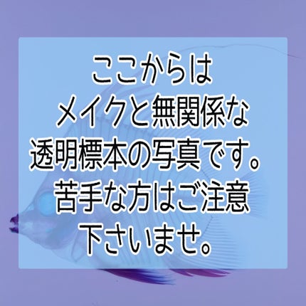 アイカラーパレット/heme/アイシャドウパレットを使ったクチコミ(7枚目)